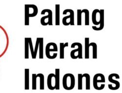 Logo PMI Separator
