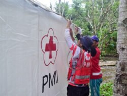 Relawan PMI Jatim saat mendirikan bangunan temporary shelter