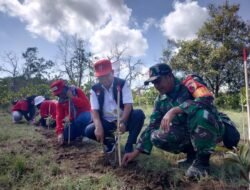 AKSI ADAPTASI IKLIM, PMI BANYUWANGI LAKUKAN PENANAMAN MANGROVE