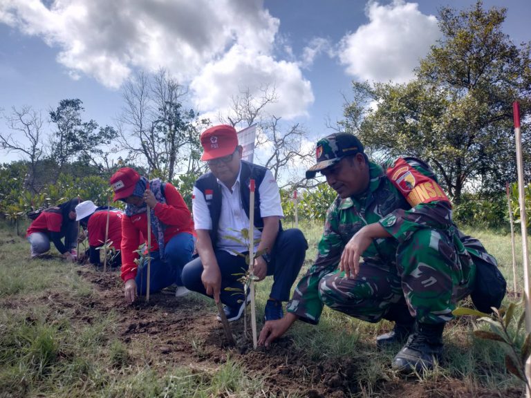 AKSI ADAPTASI IKLIM, PMI BANYUWANGI LAKUKAN PENANAMAN MANGROVE