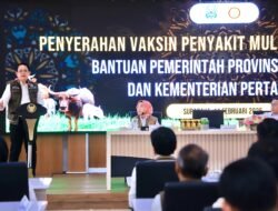 Pemprov Jatim Distribusikan 870.000 Dosis Vaksin PMK Ke 38 Kab/Kota