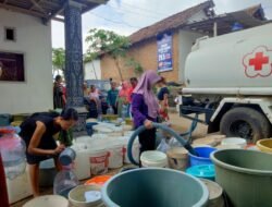 WhatsApp Image 2025-11-04 at 07.54.02