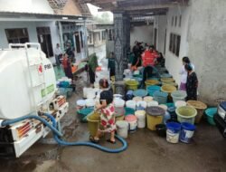 WhatsApp Image 2025-11-04 at 07.54.03