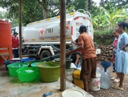 WhatsApp Image 2025-11-04 at 14.57.09