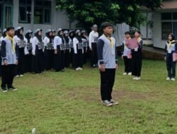 WhatsApp Image 2025-11-17 at 20.08.43