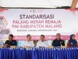 WhatsApp Image 2025-11-19 at 02.49.08