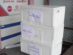 WhatsApp Image 2025-12-02 at 08.04.00