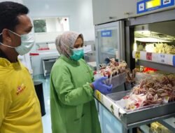 100 kantong darah dari warga Jember akan dikirim ke Sumatera & Aceh