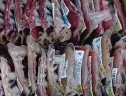 WhatsApp Image 2025-12-18 at 14.13.30